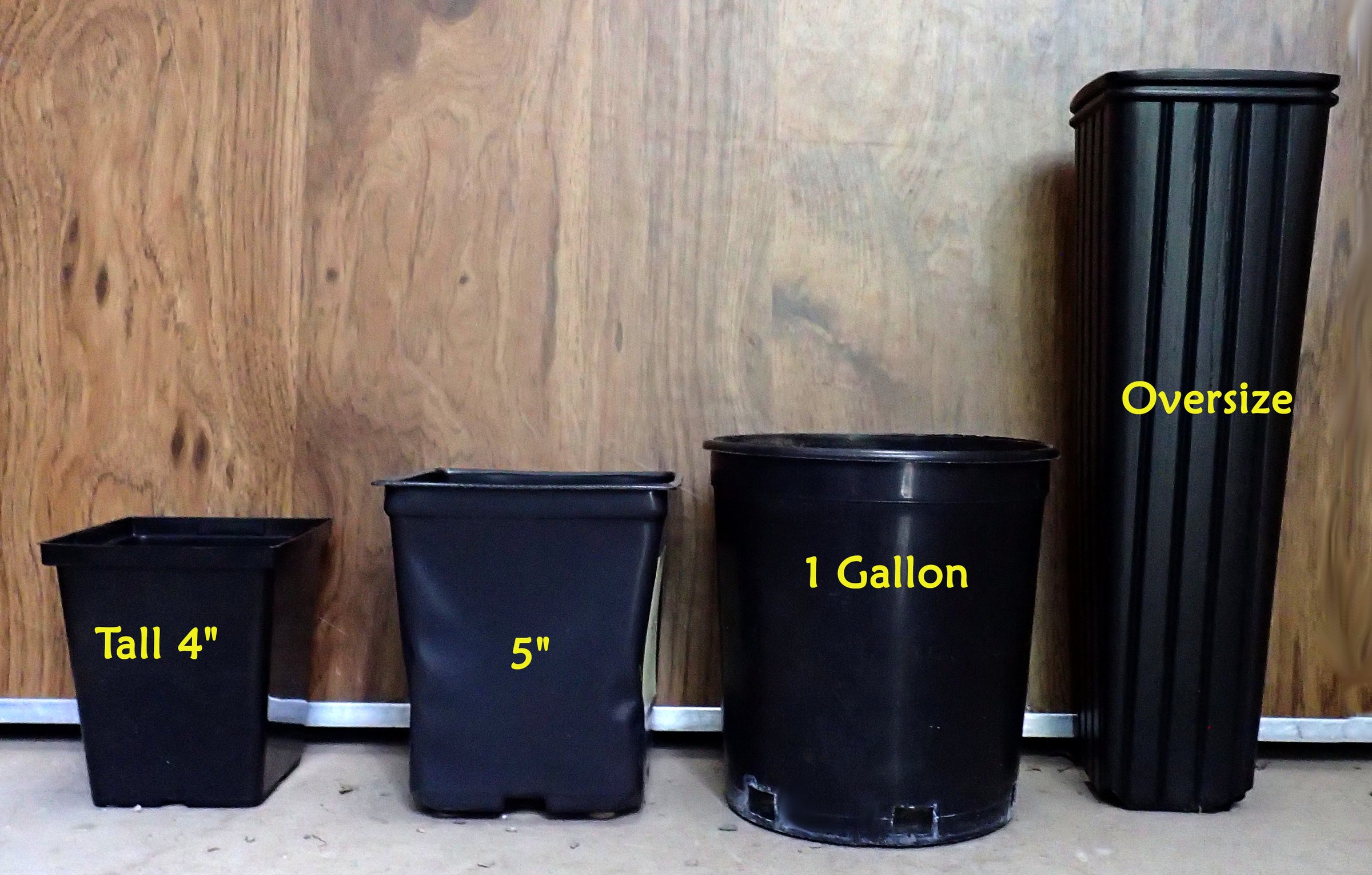 Native Plant pot size